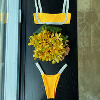 Dandelion Bottom