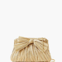 Gold Rayne Pleated Frame Clutch