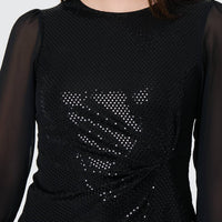 Semi Sheer Sparkly Long Sleeve Blouse